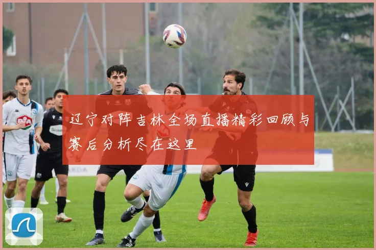 辽宁对阵吉林全场直播精彩回顾与赛后分析尽在这里